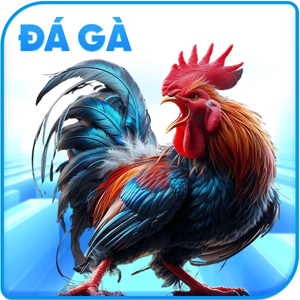 Đá Gà Fly88