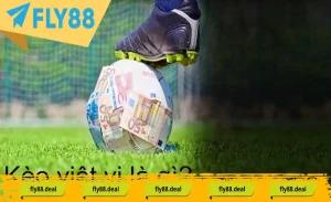 the nao la keo viet vi